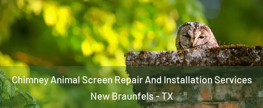  Chimney Animal Screen Repair And Installation Services New Braunfels - TX