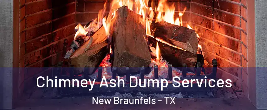  Chimney Ash Dump Services New Braunfels - TX