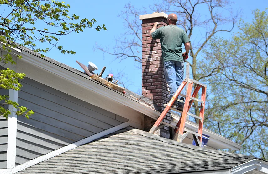 Chimney & Fireplace Inspections Services in New Braunfels, TX
