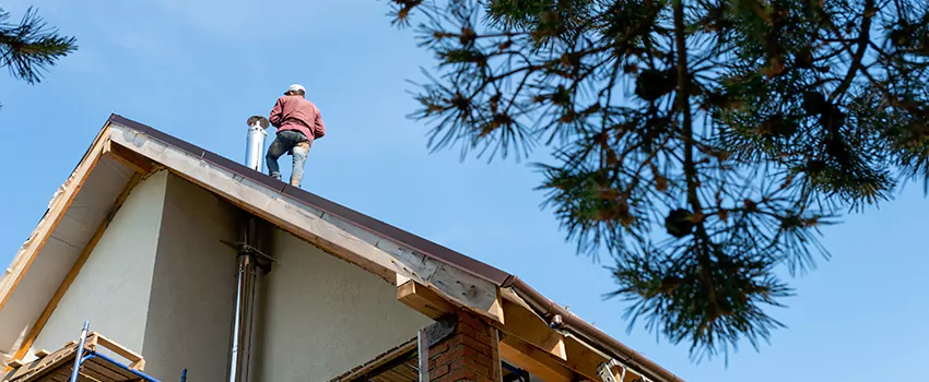 Birds Removal Contractors from Chimney in New Braunfels, TX