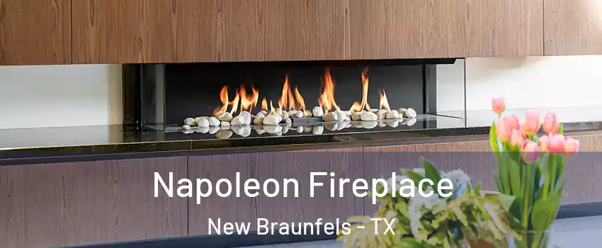  Napoleon Fireplace New Braunfels - TX